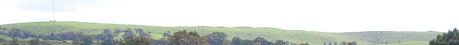 austr-vineyards-02b.jpg (102414 bytes)